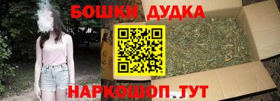 мдпв Бердск