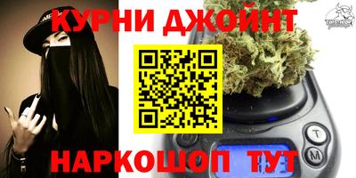 мдпв Бердск