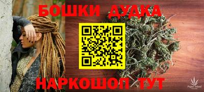 мдпв Бердск
