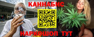 мдпв Бердск