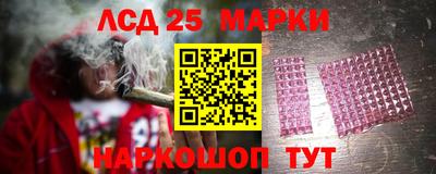 мдпв Бердск