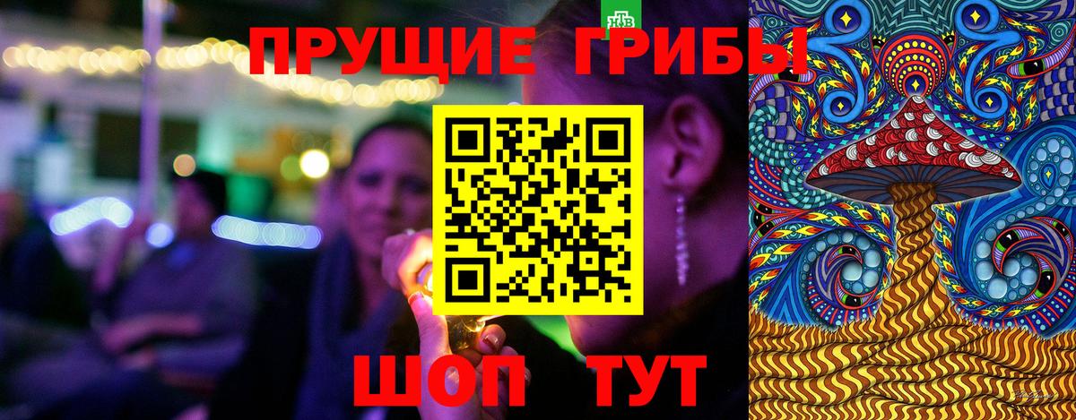 Одинцово  Псилоцибиновые грибы Cubensis  Вход с VPN 