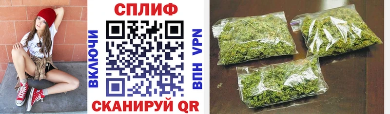 Бошки Шишки план ОМГ ОМГ ССЫЛКА Одинцово
